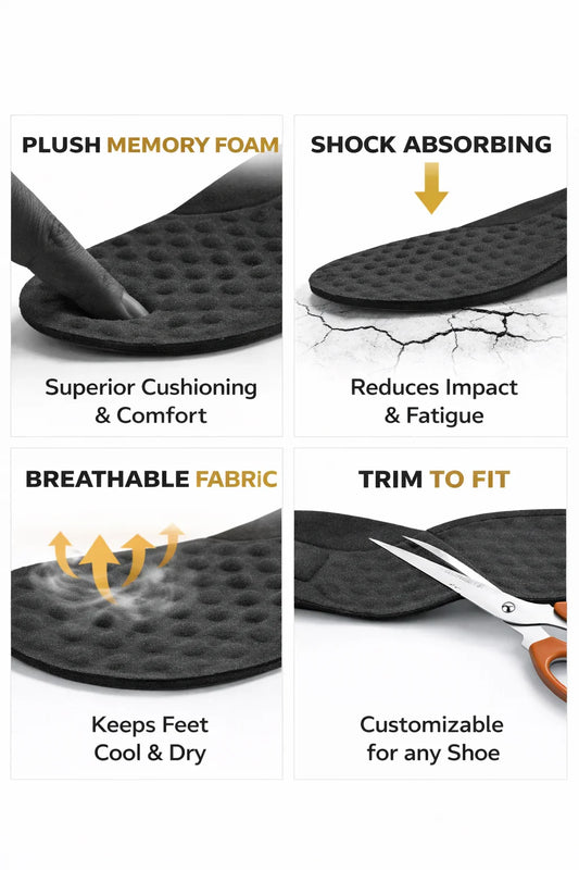 Insole with features highlighted on a white background